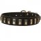 Plated Leather Dog Collar for Walking and Training
