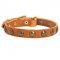 Vintage Leather Dog Collar for Everyday Walking