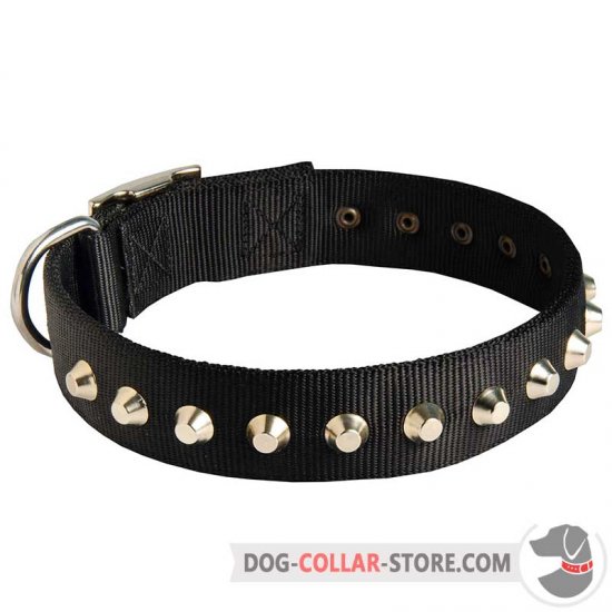 Stylish Wide Nylon Dog Collar With Nickel Pyramids