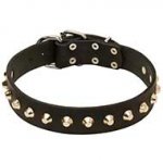 'Daily Elegance' Leather Dog Collar with Studs