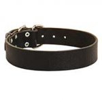 Classical Wide Leather Dog Collar