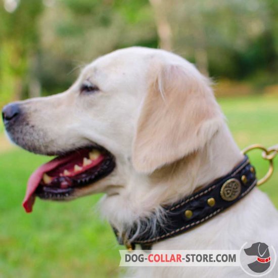 retriever brand dog collars