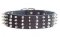 Durable Wide Decorated Leather Dog Collar for Walking