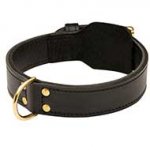 Heavy Duty Training Leather Dog Collar