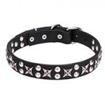 "Planets and Stars" Leather Dog Collar 1 1/5 inch (30 mm) Wide