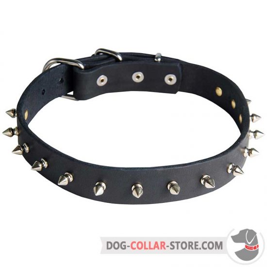 Spiked Dog Collar