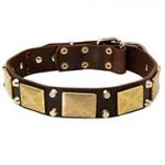 Originally Designed Leather Dog Collar