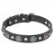 "Shiny Charm" 1 1/5 inch (30 mm) wide Dog Collar with Chrome Conchos and Half-Ball Studs