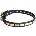 Gorgeous Leather Collar For Handling Medium Size Dogs