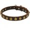 Gorgeous Leather Dog Collar with doted circles