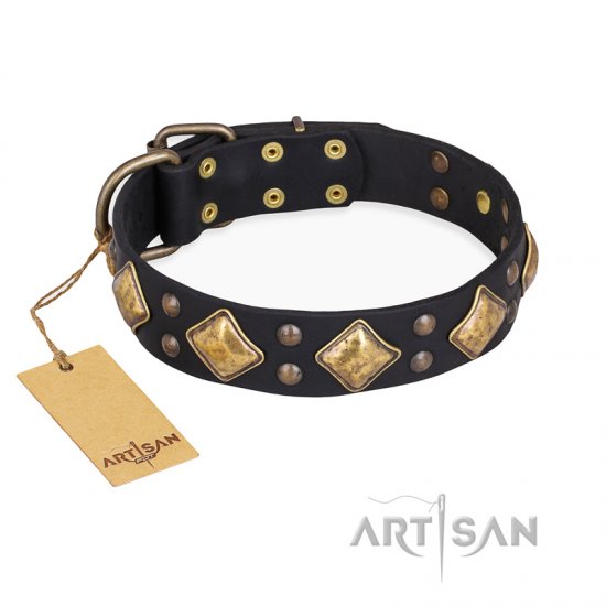Fancy-Schmancy FDT Artisan Studded Leather dog Collar [C236#1028  Handcrafted Leather dog Collar] : Dog collar, Leather dog collar, Nylon dog  collar, Spiked dog collar, Dog leash