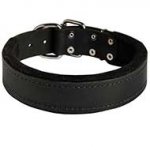 Leather Dog Collar Padded with Thick Felt for Walking and Training