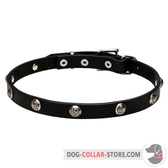 'Lucky' Leather Dog Collar with Engraved Studs