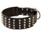 Leather Dog Collar Decorated with 3 Rows of Nickel Studs