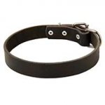 Durable Leather Dog Collar for Everyday Walking and Training