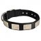 Nylon Dog Collar With Vintage Massive Silver Color Plates