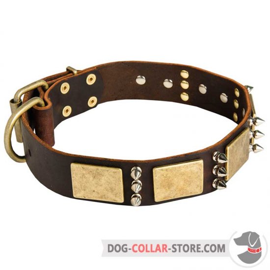 Stylish Leather Dog Collar for Everyday Walking and Training