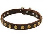 Gorgeous Leather Dog Collar with doted circles