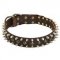 Fashion Leather Dog Collar Decorated with Spikes and Studs