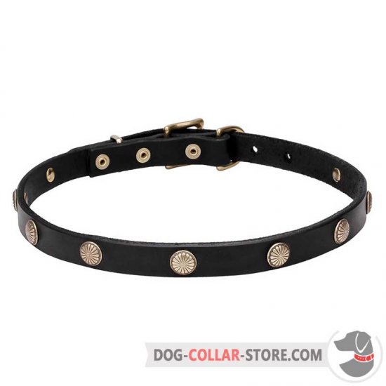 'Sunny Beams' 3/4 Inch Wide Leather Dog Collar with Unique Adornment