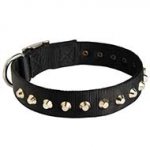 Stylish Wide Nylon Dog Collar With Nickel Pyramids