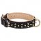 Nappa Padded Leather Dog Collar with Brass Spikes