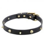 'Rock the Goth' Pure Leather Dog Collar