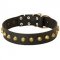 Gorgeous Wide Leather Dog Collar with Studs