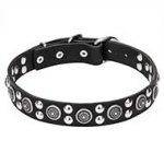 "Galactic Style" 1 1/5 Inch (30 mm) wide Leather Dog Collar with Fineries