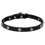 'Cosmic Stars' Narrow Leather Dog Collar