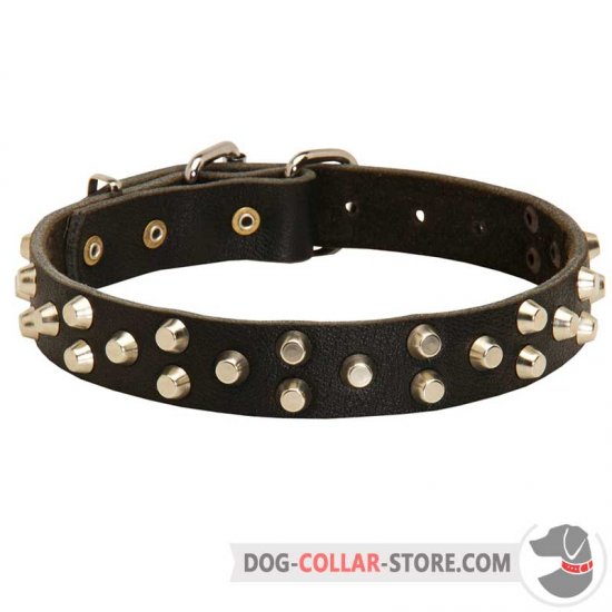 Studded Leather Dog Collar For Everyday Walking and Training
