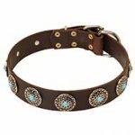 Elegant Leather Dog Collar with Silver Plated Circles