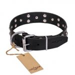 FDT Artisan 'Mystic Skulls' Decorated Leather Dog Collar with Skulls and Studs - 1 1/2 inch (40 mm) wide