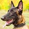 Nylon Belgian Malinois Collar with 2 Rows of Spikes