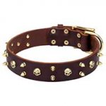 'Hard Rock' Decorative Leather Dog Collar with Brass Skulls and Spikes