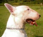 Herm Sprenger Chain Bull Terrier Choke Collar