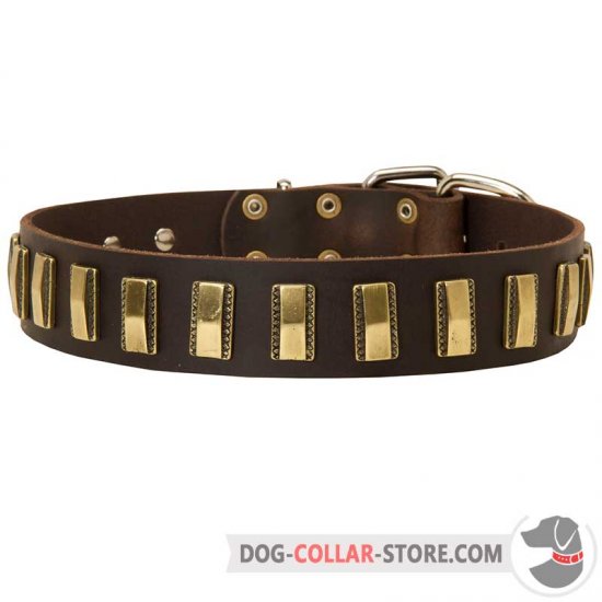 Gorgeous Wide Durable Leather Dog Collar with Vertical Brass Plates