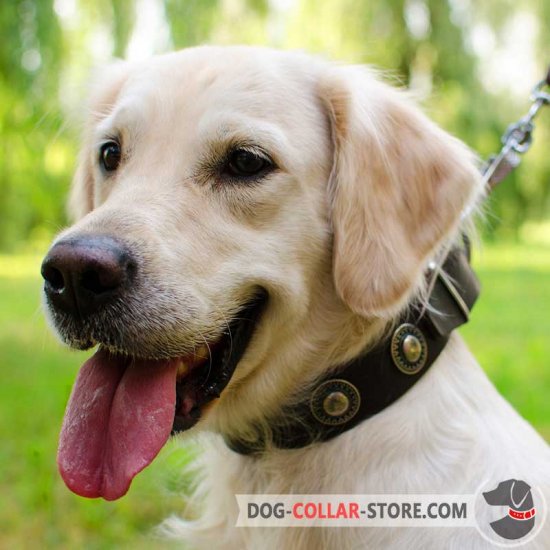 Black Leather Dog Collar - Small - Medium - Large- Western Conchos LL#