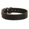 Classical Wide Leather Dog Collar