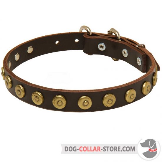 Gorgeous Leather Dog Collar with doted circles
