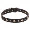 'Milky Way' 1 inch (25 mm) Leather Dog Collar with Brass Plated Decorations