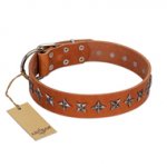 "Star Trek" FDT Artisan Tan Leather dog Collar Decorated with Stars