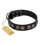 "Mister Exclusive" Designer FDT Artisan Black Leather dog Collar with Medallions