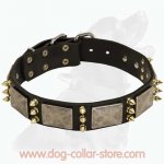 Gorgeous Dog Leather Collar With Awesome Massive Decoration