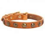 Vintage Leather Dog Collar for Everyday Walking
