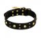 FDT Artisan 'Heavy Metal' Leather Dog Collar with Skulls and Half-Balls 1 1/2 inch (40 mm)