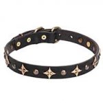 'Milky Way' 1 inch (25 mm) Leather Dog Collar with Brass Plated Decorations