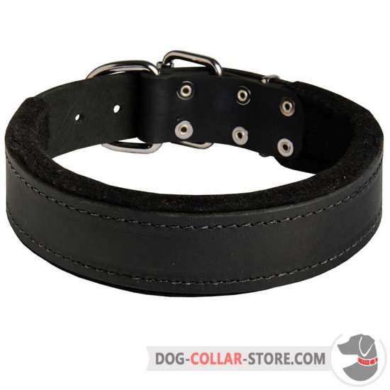 Dog thick sales collars
