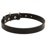 Classy Buckled Leather Dog Collar for Daily Use