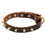 Elegant Thin Leather Dog Collar Decorated with Brass Spikes